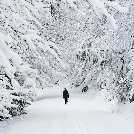 Lejlighed Casa Atienza By Bevalle