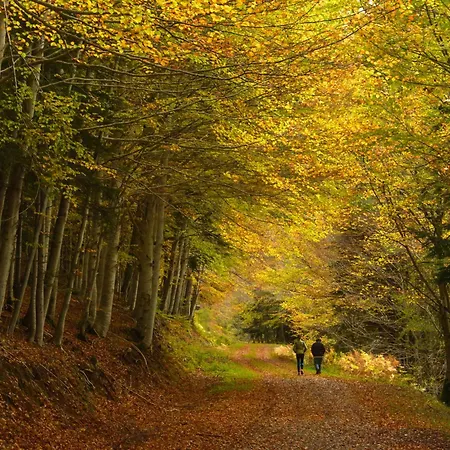 Lejlighed Casa Atienza By Bevalle Escarrilla