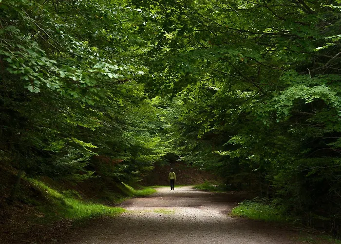 Casa Atienza By Bevalle Escarrilla